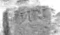 TOMBE SAUNIERE 02