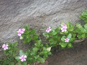 PICT0105.JPG