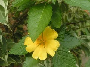 PICT0083.JPG