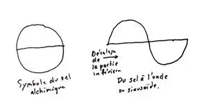 SEL SINUSOIDE